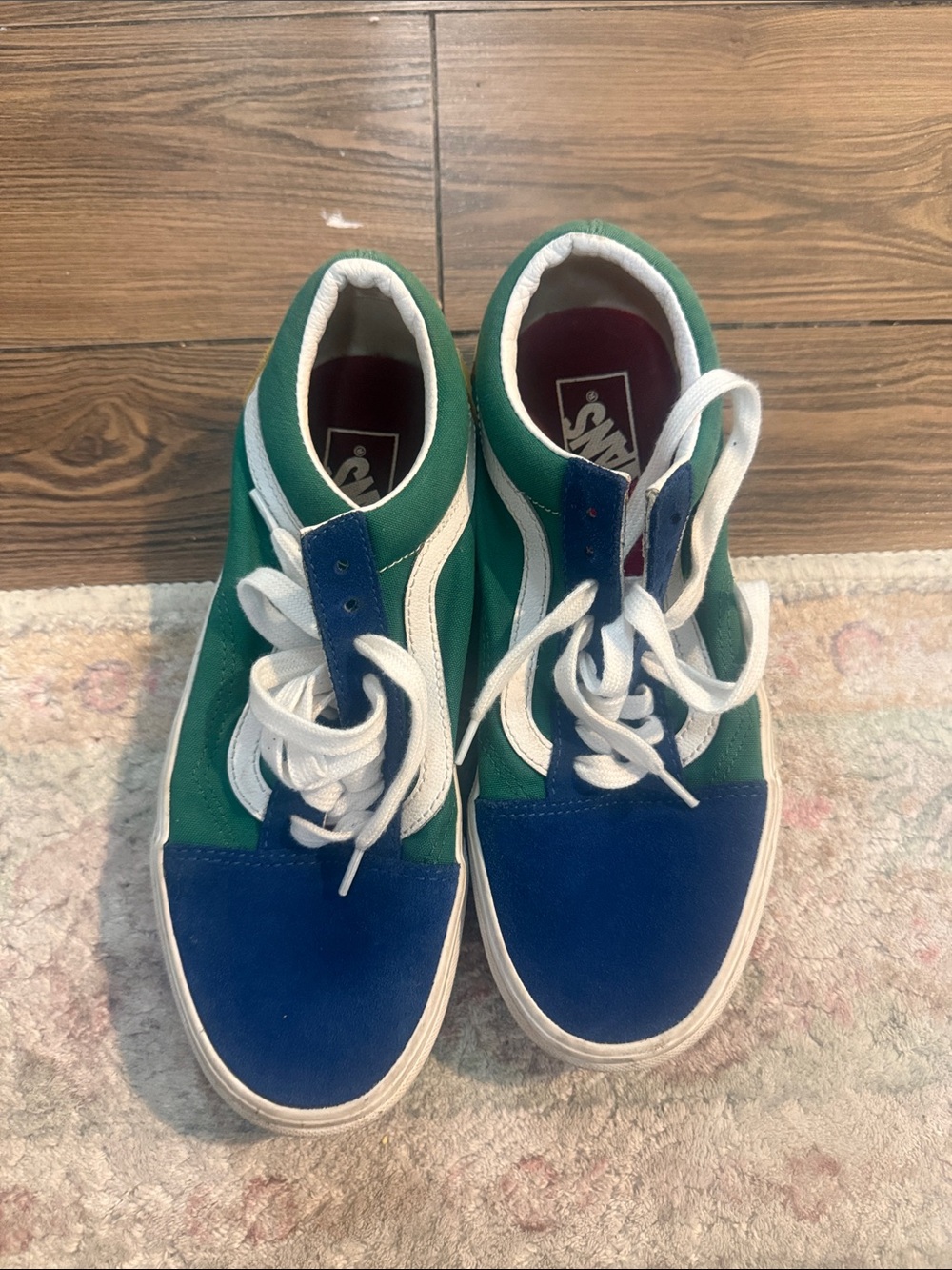 Vans Blue & Green Low-Top Skate Sneakers